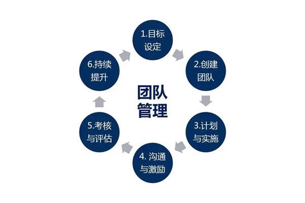 高效团队建设与管理